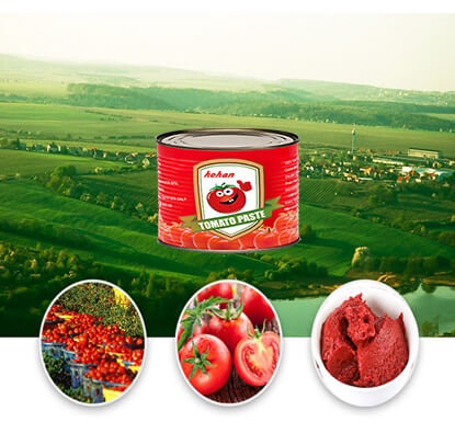 3000g Canned tomato paste