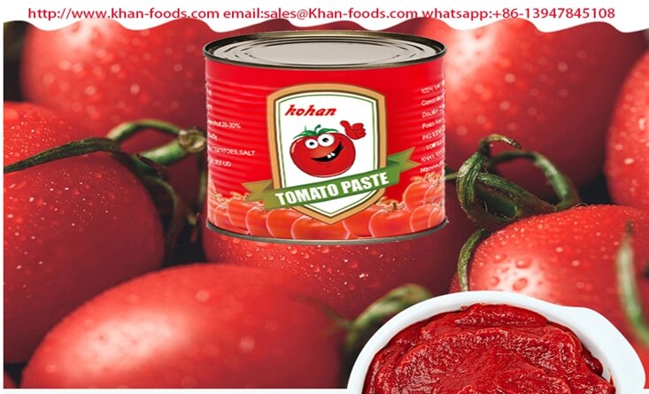 canned tomato paste