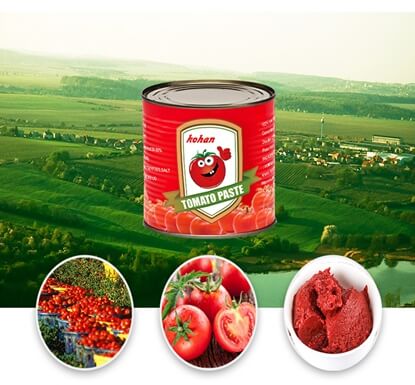 850g tomato paste