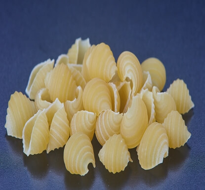 Shells pasta